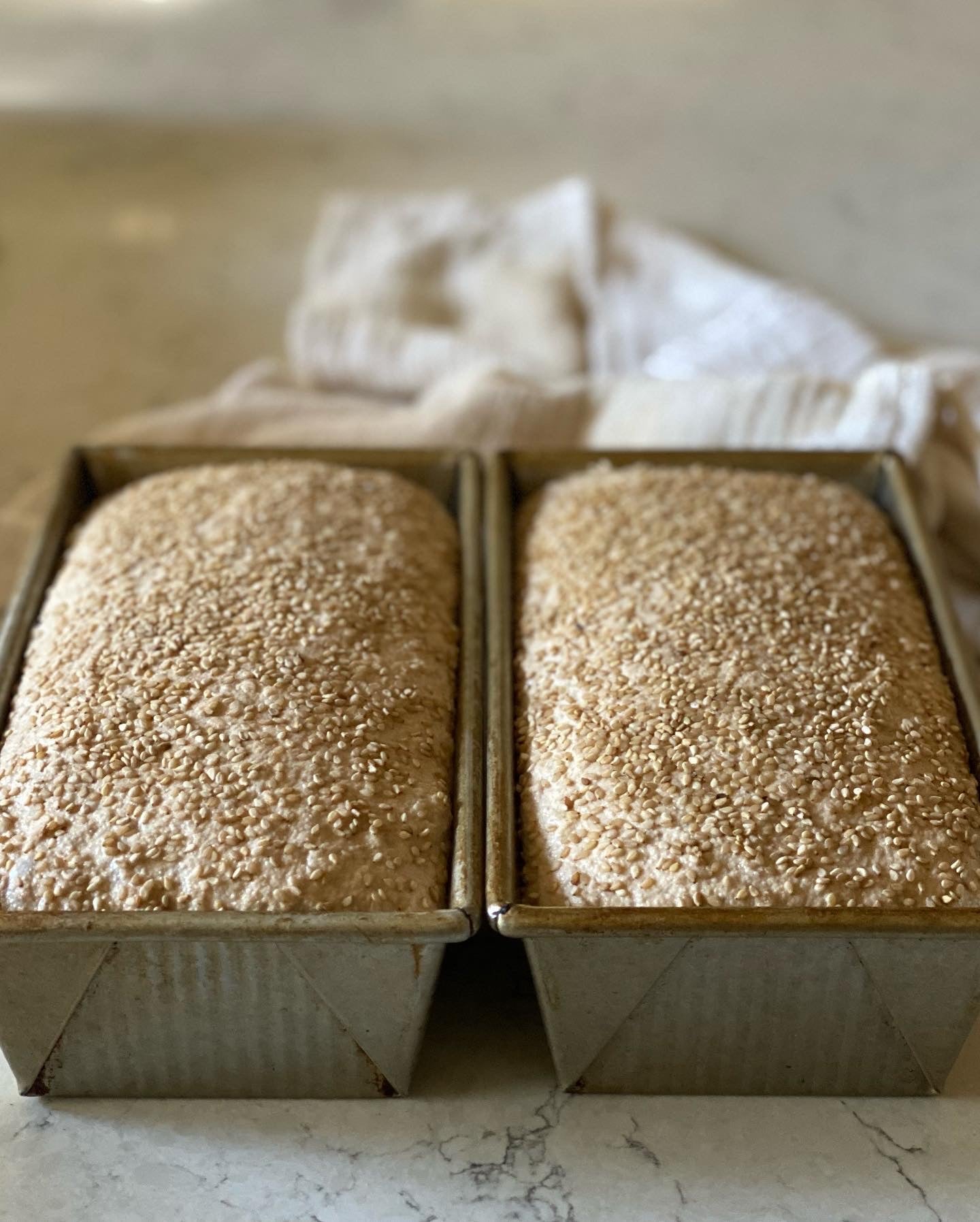 Baking California 1-Day Workshop